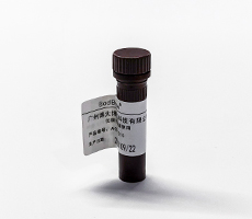 細胞計數用臺盼藍染料or AOPI熒光染料？