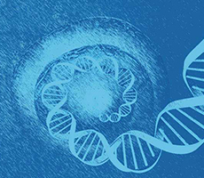 細(xì)胞計(jì)數(shù)儀在“單細(xì)胞測(cè)序”中的應(yīng)用