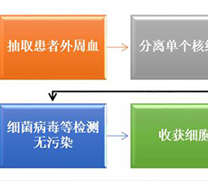 細胞計數儀如何應用于生物免疫治療？