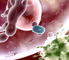 免疫療法，你值得關注！